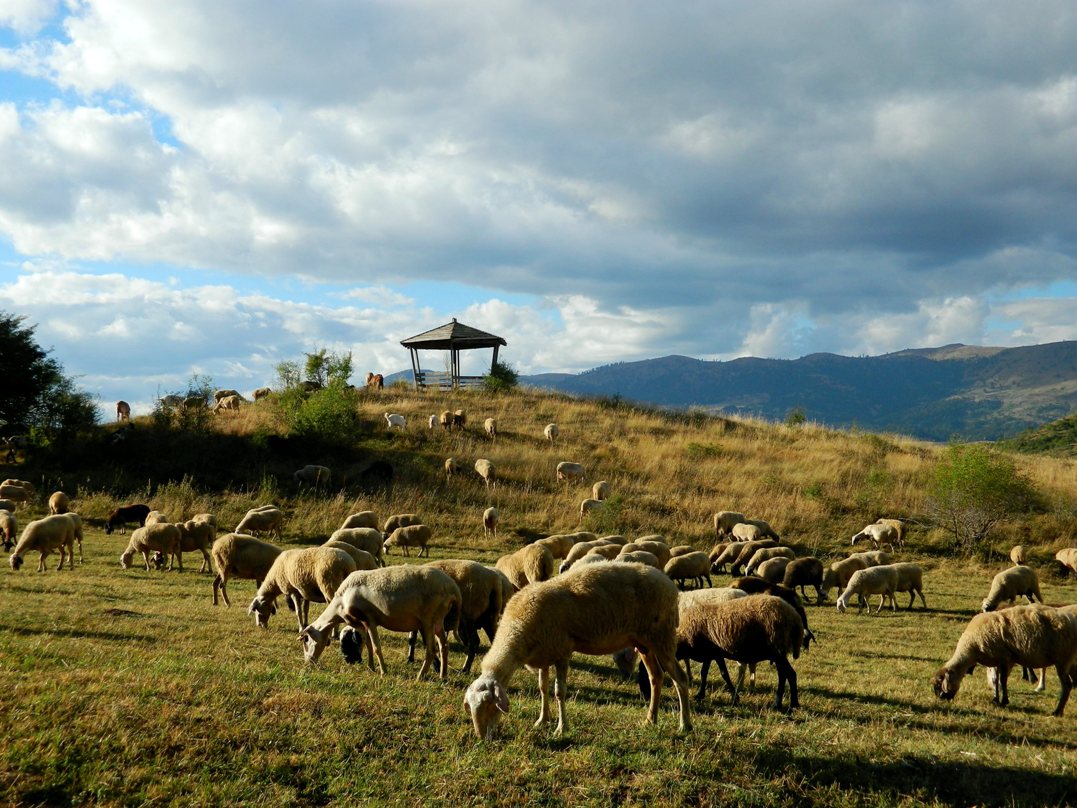 Εικόνα