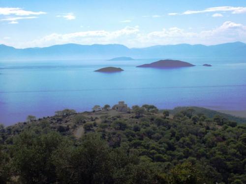 Εικόνα