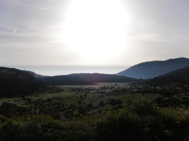 Εικόνα