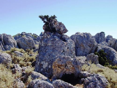 Εικόνα