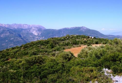 Εικόνα