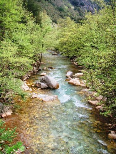 Εικόνα