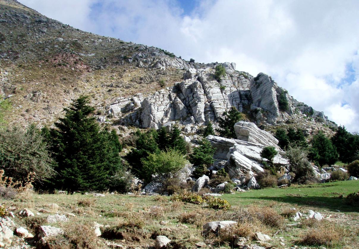Εικόνα