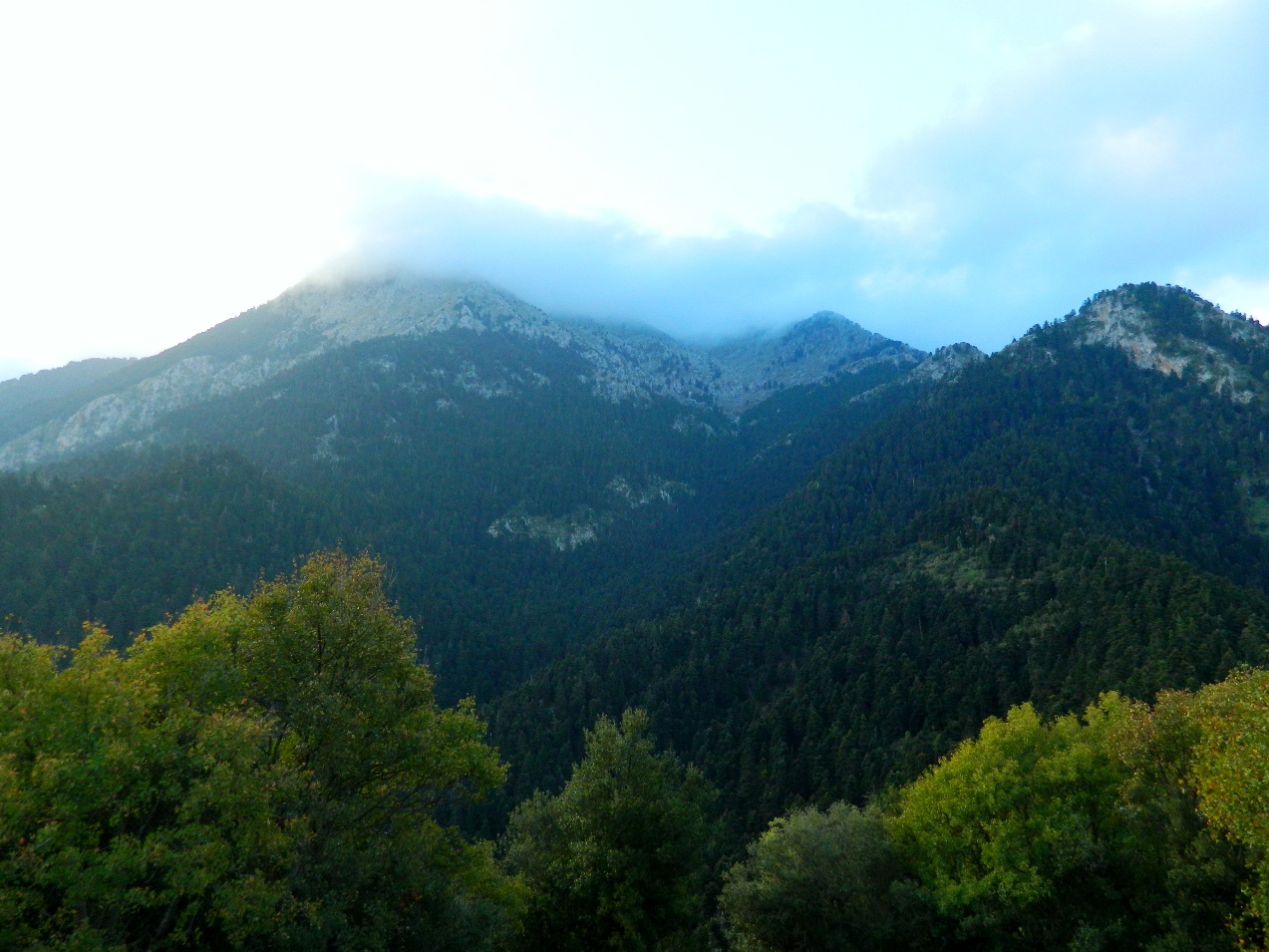 Εικόνα