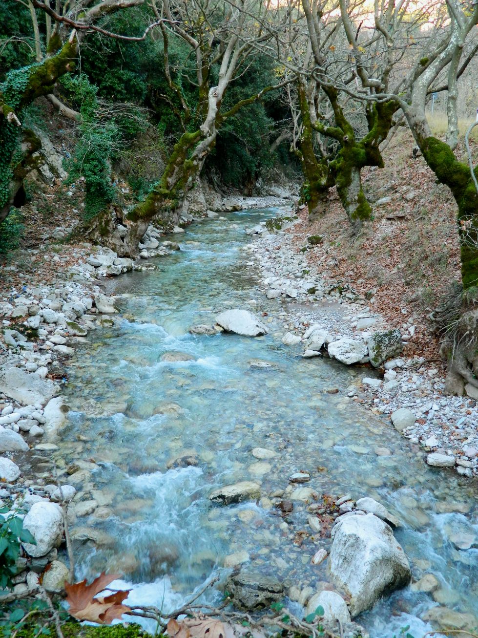 Εικόνα